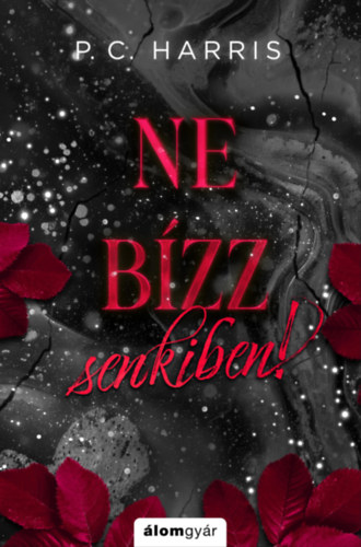 P. C. Harris: Ne bízz senkiben! - Ne nézz vissza 2. e-Könyv
