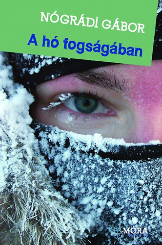 Nógrádi Gábor: A hó fogságában antikvár