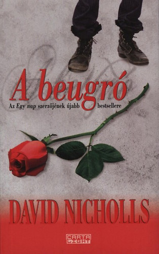 David Nicholls: A beugró könyv
