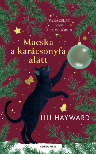 Lili Hayward: Macska a karácsonyfa alatt e-Könyv