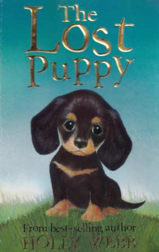 Holly Webb: The Lost Puppy antikvár