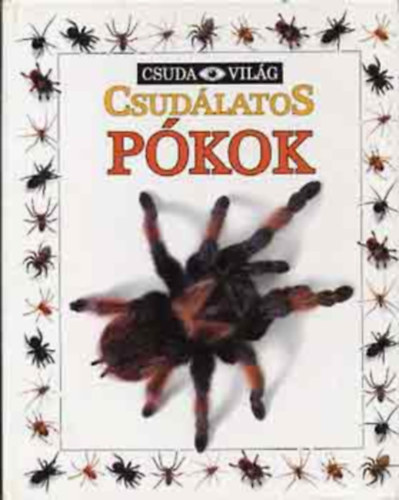 Alexandra Parsons: Csudálatos pókok - Csudavilág 3. antikvár