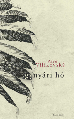 Egynyári hó akciós termékkép 1