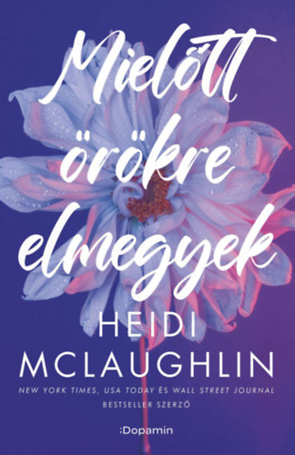 Heidi McLaughlin: Mielőtt örökre elmegyek könyv