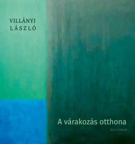 Villányi László: A várakozás otthona könyv