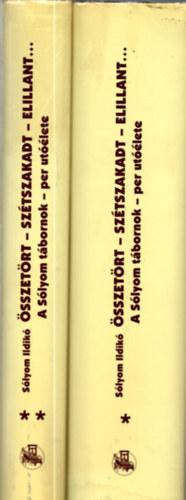 Sólyom Ildikó: Összetört-szétszakadt-elillant... I-II. antikvár