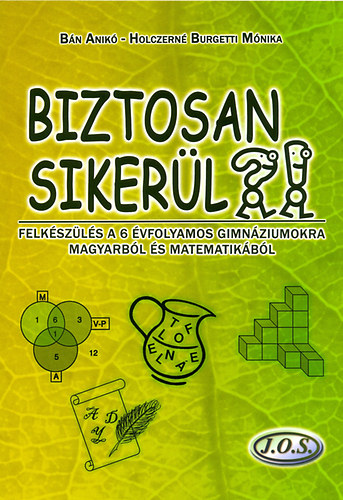 Bán Anikó; Holczerné Burgetti Mónika: Biztosan sikerül?! könyv