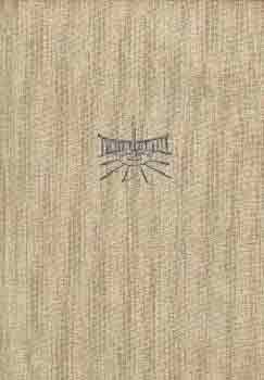 Pogány Frigyes: Terek és utcák művészete antikvár