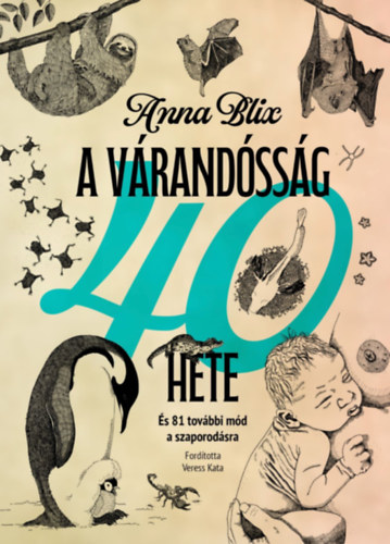 Anna Blix: A várandósság 40 hete könyv