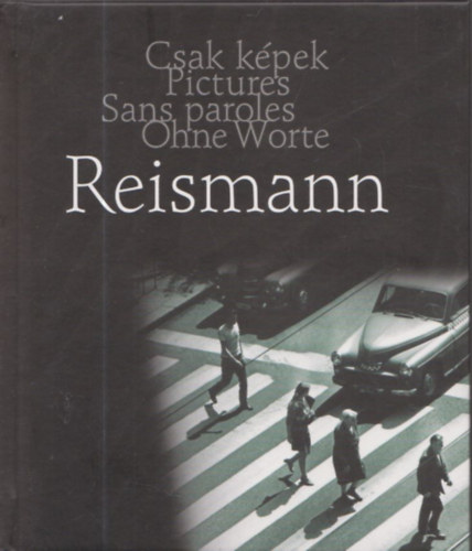 Reismann János: Reismann: Köznapok (magyar-angol-francia-német) antikvár