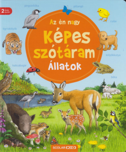 Susanne Gernhauser: Az én nagy képes szótáram - Állatok antikvár