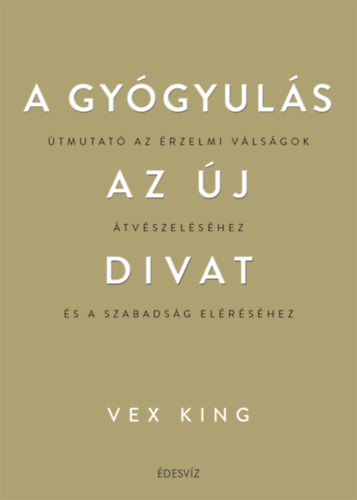 Vex King: A gyógyulás az új divat könyv