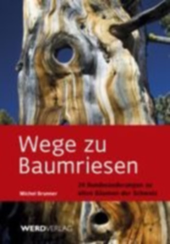 Brunner, Michel: Wege zu Baumriesen idegen