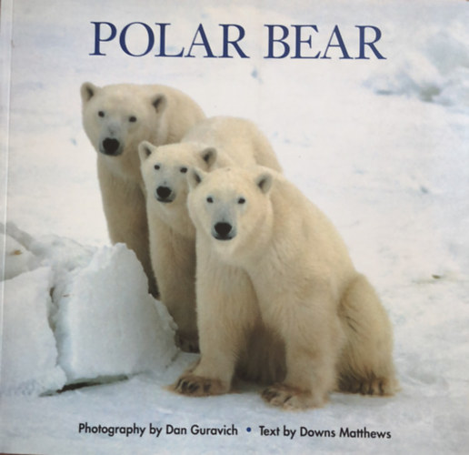 Guravich, Dan, Matthews, Downs: Polar Bear (Jegesmedve - angol nyelvű) antikvár