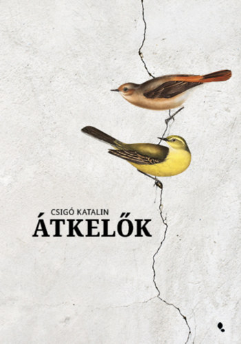Csigó Katalin: Átkelők antikvár