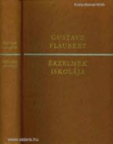 Gustave Flaubert: Érzelmek iskolája (FORDÍTÓ Gyergyai Albert) antikvár