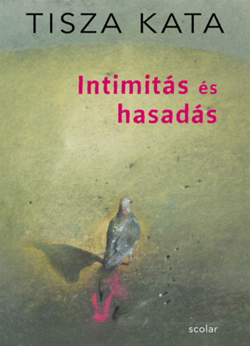 Tisza Kata: Intimitás és hasadás e-Könyv