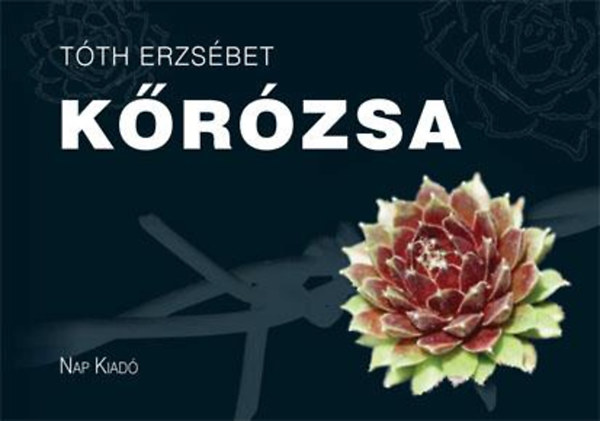 Tóth Erzsébet: Kőrózsa antikvár