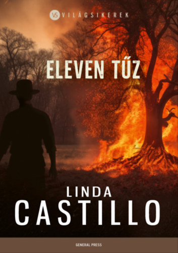 Linda Castillo: Eleven tűz e-Könyv