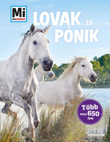 Silke Behling: Lovak és pónik - Mi Micsoda könyv