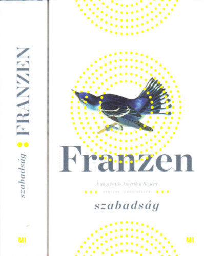 Jonathan Franzen: Szabadság II. antikvár