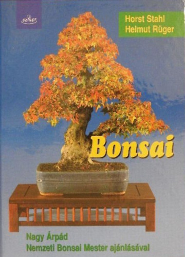 panda bonsai Golden Ficus Panda Bonsai Tree Live Plant – Bees Plant Hub main image 0