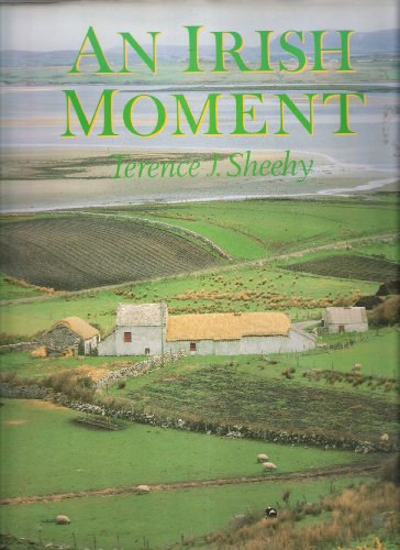 Terence J. Sheehy: An irish moment antikvár