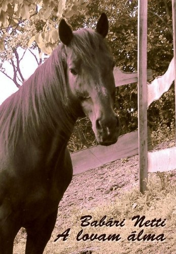 Babári Netti: A lovam álma e-Könyv
