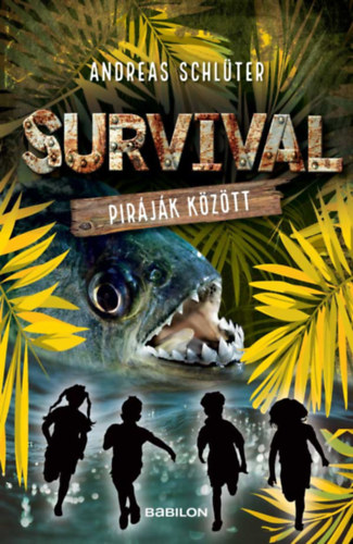 Andreas Schlüter: Survival 4. - Piráják között könyv