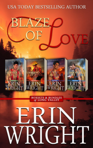 Erin Wright: Blaze of Love e-Könyv