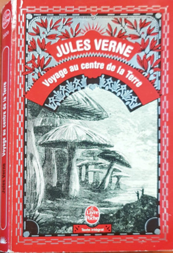 Verne Gyula: Voyage au centre de la terre antikvár