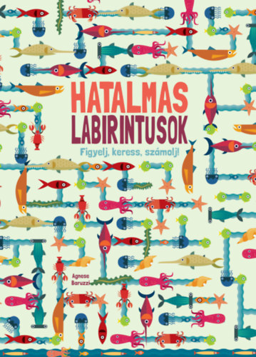 Agnese Baruzzi: Hatalmas labirintusok könyv