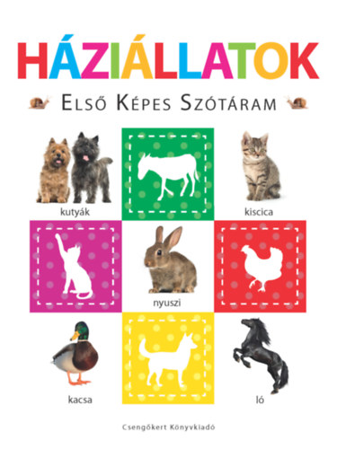 Háziállatok - Első képes szótáram akciós termékkép 1