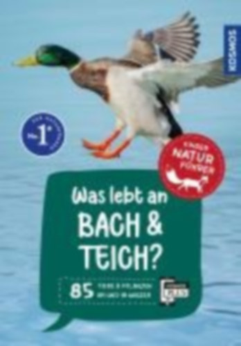 Saan, Anita van: Was lebt an Bach und Teich? Kindernaturführer idegen
