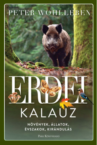 Peter Wohlleben: Erdei kalauz könyv