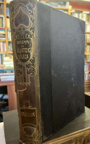 Alfred Brehm: Az állatok világa 1. (Emlősök I. kötet) antikvár