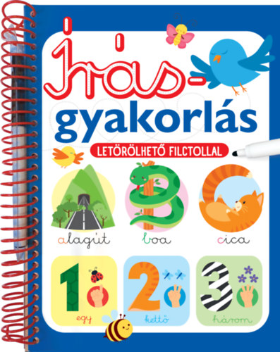 Írásgyakorlás - Letörölhető filctollal könyv