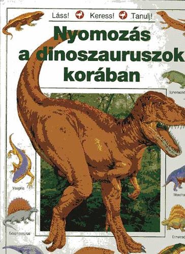 Rosie Heywood: Nyomozás a dinoszauruszok korában antikvár