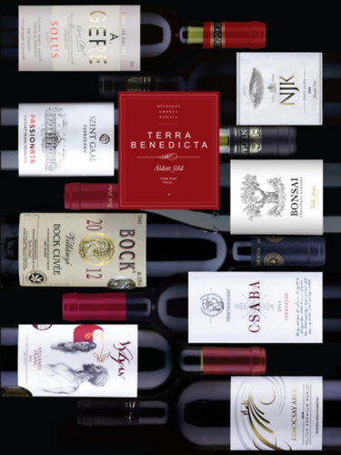 Dr. Mészáros Gabriella, Ambrus Lajos, Rohály: Terra Benedicta - Áldott föld antikvár