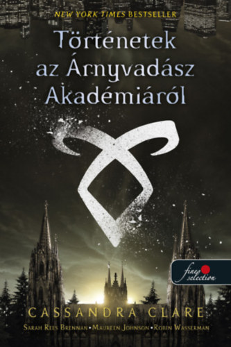 Cassandra Clare, Sarah Rees Brennan, Maureen Johnson, Robin Wasserman: Történetek az Árnyvadász Akadémiáról antikvár
