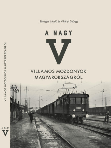Süveges László, Villányi György: A nagy V könyv