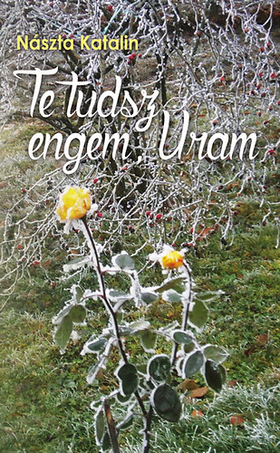 Nászta Katalin: Te tudsz engem, Uram könyv