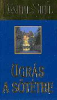 Danielle Steel: Ugrás a sötétbe antikvár