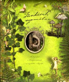 Warne, Frederick: Tündérek nyomában - Fedezd fel a virágtündérek varázslatos világát! antikvár