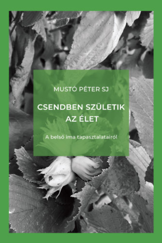 Mustó Péter SJ: Csendben születik az élet e-Könyv