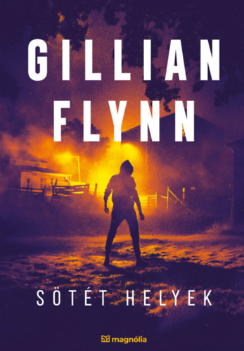 Gillian Flynn: Sötét helyek könyv