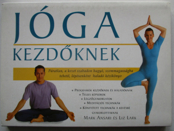 M.-Lark L. Ansari: Jóga kezdőknek antikvár