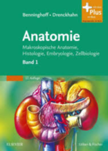 Alfred Benninghoff: Anatomie -  band 1-2. ( német nyelvű anatómia ) antikvár