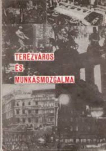 Pille György: Terézváros 200 éve - Terézváros és munkásmozgalma antikvár
