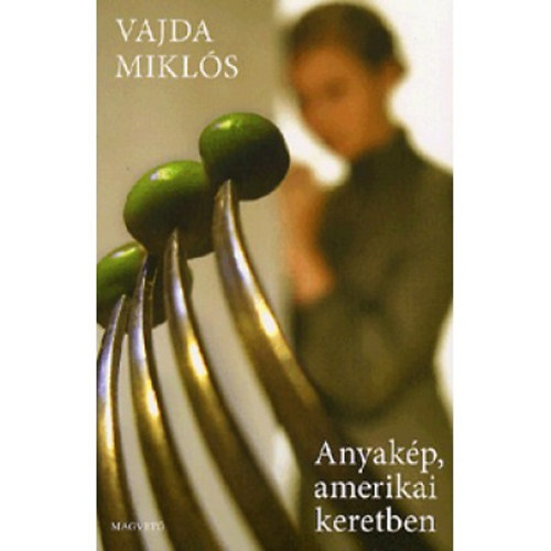Vajda Miklós: Anyakép, amerikai keretben könyv